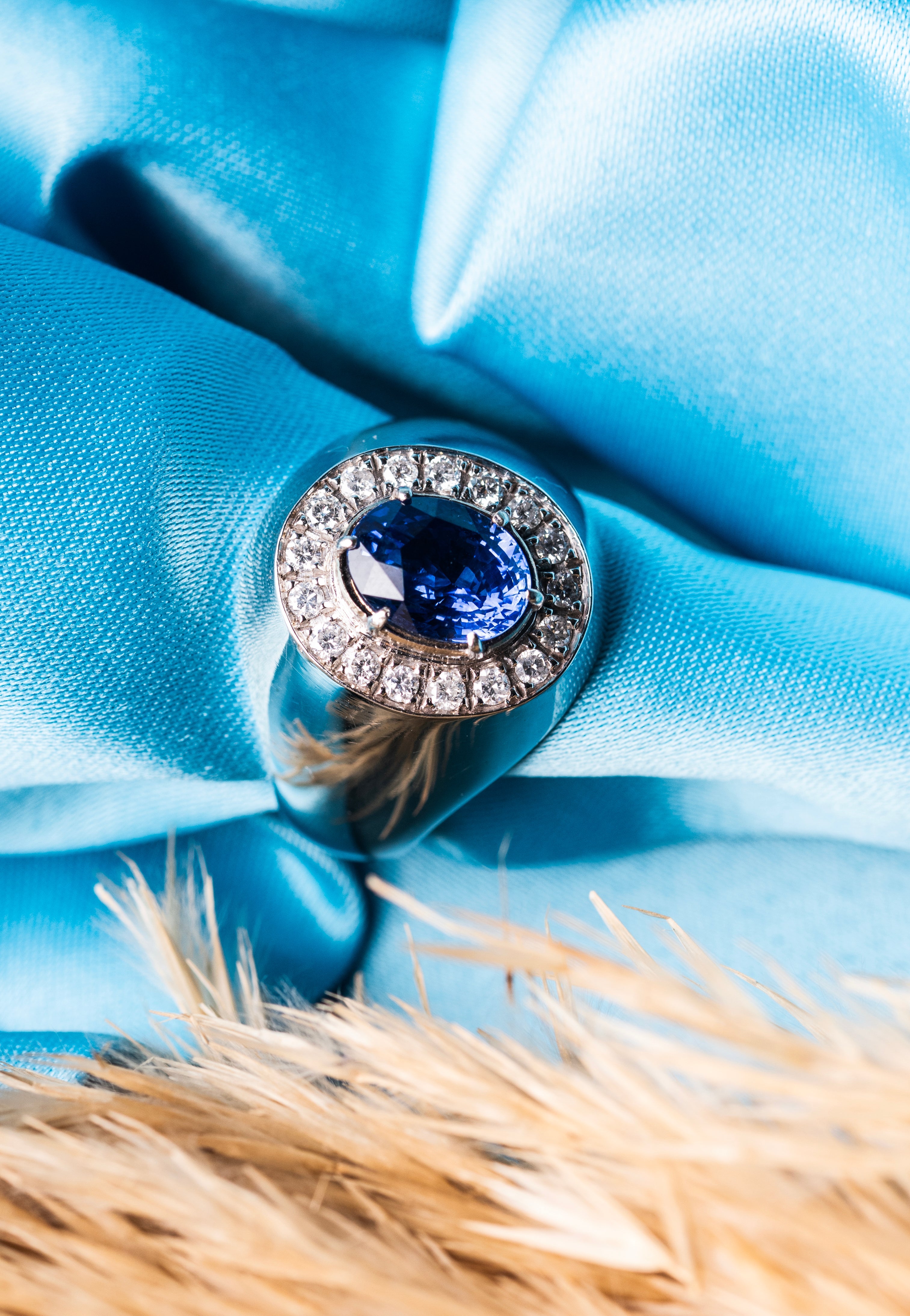 Sapphire Odyssey: The Regal Collection