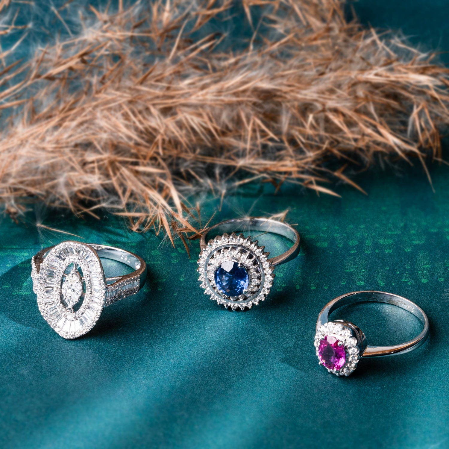 Glamour Nights: The Red Carpet Collection